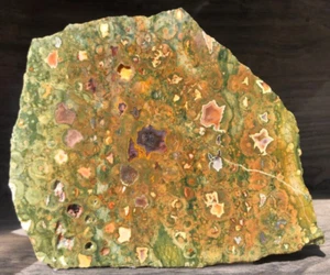 Rainforest Jasper Rhyolite Australia 5.5"x4.75 Jasper Agate Lapidary Rough Slab - Picture 1 of 13