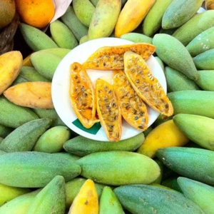 BANANA PASSIONFRUIT-PASSIFLORA MOLLISSIMA 20 seeds RARE - Picture 1 of 4