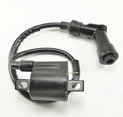 RM125 RM250 LT300 Quadrunner LT185 LT50 Quadracer 美国 适合铃木点火线圈 — 第 1/2 张图片