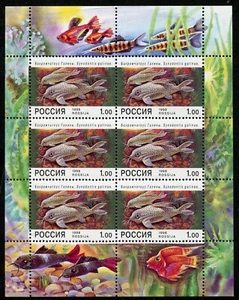 RUSIA 1998 MINIHOJA UNIFICADA PECES DE ACUARIO 6369 - Imagen 1 de 1
