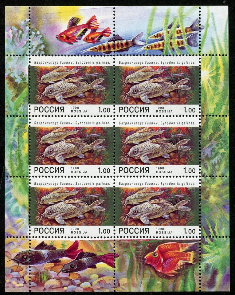 RUSIA 1998 MINIHOJA UNIFICADA PECES DE ACUARIO 6369 - Imagen 1 de 1