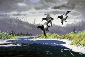BILLS PAST DUE - Atlantic Flyway, Ducks Unlimited 1989 S/N Print By Les Kouba - Picture 1 of 1