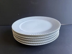 VTG Schönwald Germany Porcelain 9” Luncheon Plates Great Basket Wave Set Of 5 - Picture 1 of 4