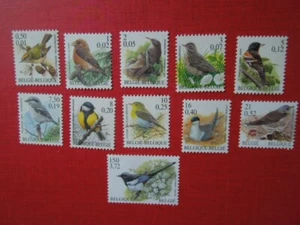 G4906 BELGIEN Birds Buzin 11 X MNH - Bild 1 von 1