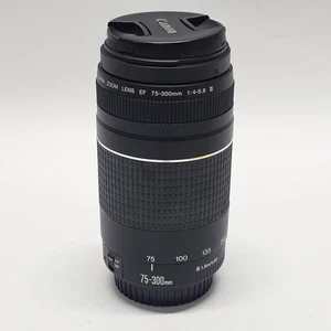 Canon obiettivo zoom EF 75-300mm 1:4-5.6 III per fotocamere reflex Canon DSLR usato buono - Foto 1 di 4