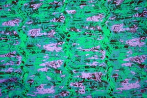 60 INCH WIDE CAVE DRAWINGS IN GREEN, PINK AND BLACK - 100% COTTON FABRIC - Picture 1 of 4