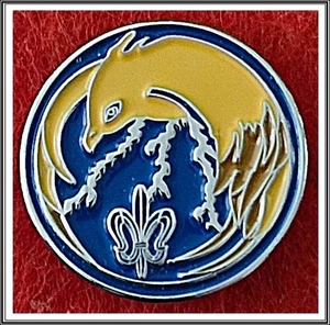 Israel Defense Forces IDF Ground Force Intelligence Corps Classified Unit pin - Picture 1 of 1