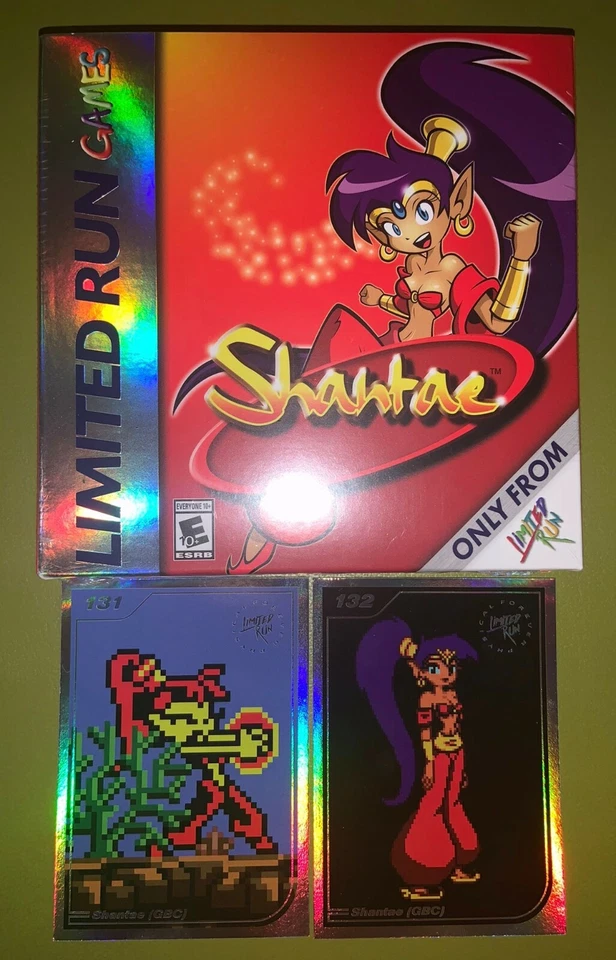Shantae (Nintendo Game Boy Color, 2021)