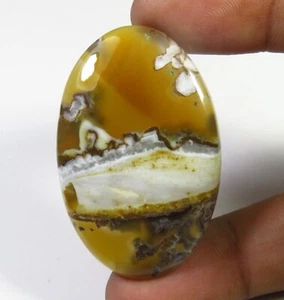 Diaspro Marrone Selvatico Cavallo Cabs Naturale 45x29mm Liscio Ovale Lucido Gems - Foto 1 di 7