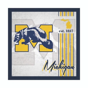 NCAA Michigan Wolverines 10x10 Album Design Wood Sign Throwback Fan Decor - Bild 1 von 1