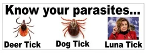 Know Your Parasites Trump 2024 Bumper Sticker B25 - Picture 1 of 1