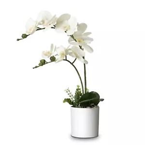 17,3 Zoll künstliche Blumen im Topf künstliche realistische weiße Orchidee im Melaminbecken - Bild 1 von 8