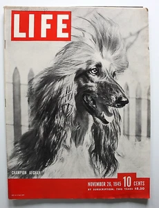 Life Magazine November 26, 1945 - Champion Afghan - Bild 1 von 3