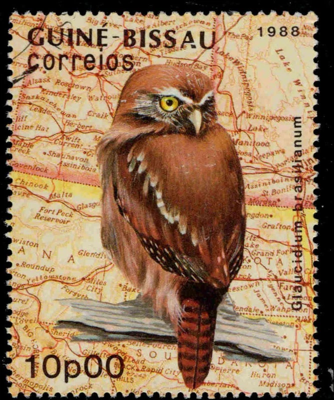 GUINEA BISSAU 755 - Ferruginous Pygmy Owl "Glaucidium brasilianum" (pb65016) — 第 1/1 张图片