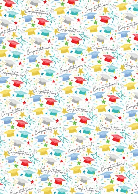 2 Sheets Graduation Congratulations Multi Colour Hats Wrapping Paper Unisex - Image 1 of 2