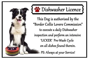 Border Collie Dog Lovers Regalo Imán Flexible Lavavajillas Licencia - Imagen 1 de 2