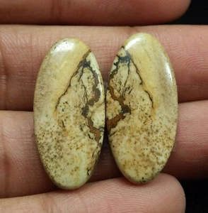 25.40 Ct Natural Picture Jasper Oval Cabochon Matched Pair Loose Gems 27.9x13 MM - Picture 1 of 3