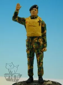 Guía de ingeniero anfibio Accurate Armour 1:35 Reino Unido F39* - Imagen 1 de 1