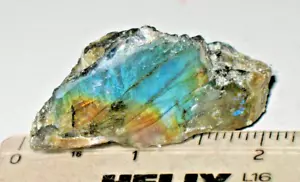 Labradorite spectrolite 1 chunk 1.6 oz blue flame + multi color polished 1 side - Picture 1 of 3