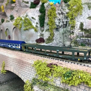 Wagon porte auto DD DEV66 Sncf et voiture T2 TEN/Railtour Sncb , Ep IV - ARNOLD - Imagen 1 de 4