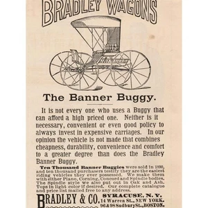 1891 Bradley Wagons The Banner Buggy Vintage Advertisement Print - Picture 1 of 1
