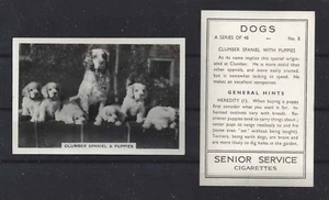 1939 UK Hundefoto Senior Service Zigarettenkarte CLUMBER SPANIEL Familie Welpen - Bild 1 von 1