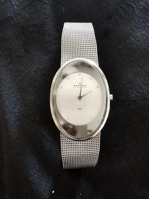 Skagen Denmark Ladies Watch, Steel Mesh Band, 12 Stones Silver Oval Dial. Foto 1 de 4