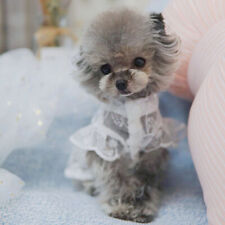 Haustier Hunde Prinzessin Spitze Tutu Kleid Chihuahua Teddy Welpe Rock Kleidung Sommer