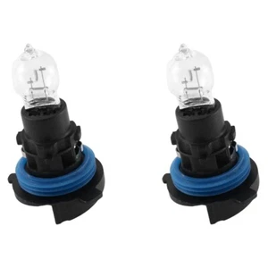 2 Stück Tagfahrlicht Vorne mit Sockel 6216F6 89072904 PH24W für 3008 5008 C U2H3 - Bild 1 von 6