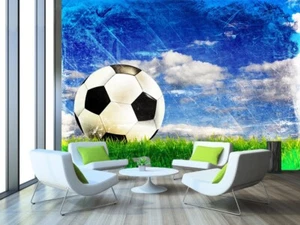 3D Amerikanisch Fußball Q1459 Tapete Wandgemälde Fototapete Selbstklebend Kay - Picture 1 of 11