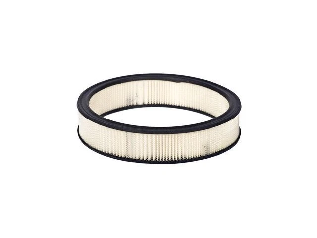 Filtro de aire Motorcraft 21PX85N compatible con filtro de aire Ford F150 1975-1979, 1986-1987 Foto 1 de 1