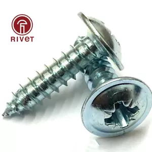 VITI A SPIRALE AUTOFILETTANTE TESTA FLANGIATA POZI ZINCO ARGENTATO PUNTA AB 4-10g - Foto 1 di 7