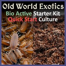 *FREE SHIPPING* Bio-Active Kit | 25+ Powder Orange Isopods And 500+ Springtails
