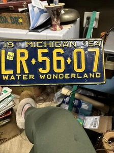1954 michigan license plate LR-56-07 Water Wonderland - Picture 1 of 19