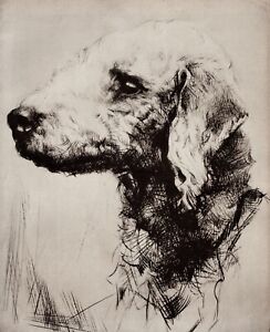 Bedlington Terrier - Custom Matted - Dog Art Print - Langley - New