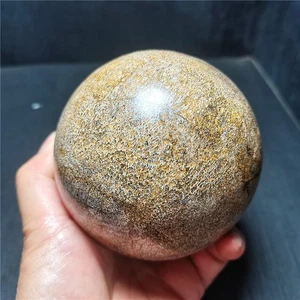 RARE 1012.5G Awesome! Dinosaur Bone Crystal Sphere ball Madagascar R1733 - Picture 1 of 16