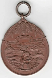 CORN Is KING Century-Old Copper Medal EQUALITY BEFORE THE LAW - Picture 1 of 2