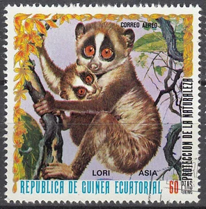 Guinea Sellado Mono Primate Lori Animal Asia Animal Niño Bebé Naturaleza / 86 - Imagen 1 de 1