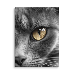 Golden Eye Cat Canvas Print – Dramatic Black and White Feline Wall Art Decor - Picture 1 of 45