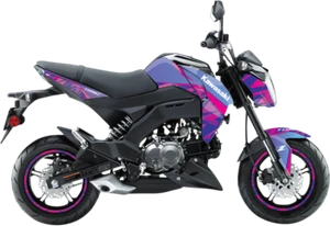 D'COR Pro Z Icon Z125 Pro Graphics Kit Decal Set 20-20-325 - Picture 1 of 1