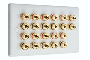 Piastra da parete altoparlante Slimline 22 pali di rilegatura oro AV audio non saldato - Foto 1 di 4