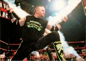1999 Comic Images WWF SmackDown Wrestling Card #9 The Road Dogg - Imagen 1 de 2