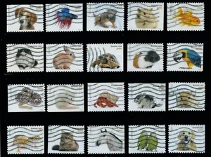 USA - 5106-25 -Pets set of 20 (See description) - Picture 1 of 1