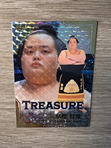 2025-2 "Nagomi" BBM Sumo Kotozakura SCHATZ 07/25 Rare Insert Card - Bild 1 von 3