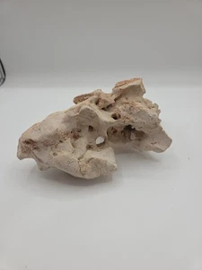 Texas/TN Holey Rock  Aquarium Reptile Limestone - Picture 1 of 8