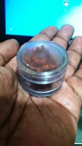 Tiny in box rudraksha rudraksh mala for puja japa shiva shiv om yoga jap rosary - Picture 1 of 1