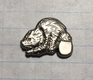 PIN SOLAPA MEDALLA PREMIO CASTOR PLATA BSA 3/4 X 1/2 PULGADAS COMO NUEVO - Imagen 1 de 4