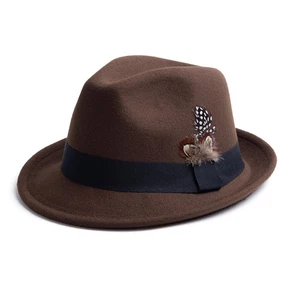 Short Brim Fedora Hats for Men & Women Felt Dress Panama Trilby Hats with Fea... - Bild 1 von 4