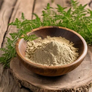 Horny Goat Weed Extract Powder Epimedium Herbalism USA 2oz - Bild 1 von 14