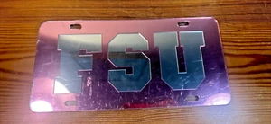 Florida State FSU rosa Spiegel KENNZEICHEN NCAA FRONT WASCHTISCH - Bild 1 von 2